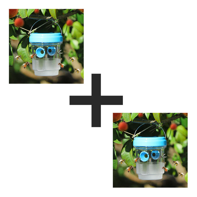 Thumbnail 13