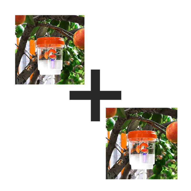 Thumbnail 14